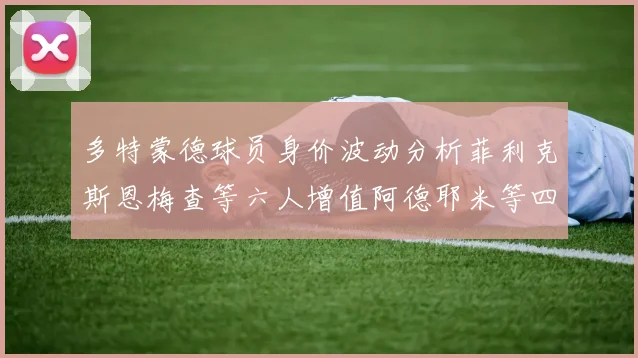 多特蒙德球员身价波动分析菲利克斯恩梅查等六人增值阿德耶米等四人贬值