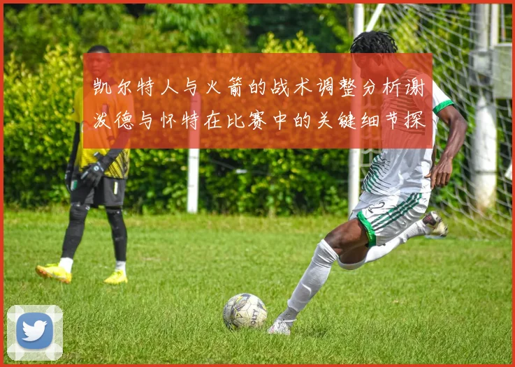 凯尔特人与火箭的战术调整分析谢泼德与怀特在比赛中的关键细节探讨
